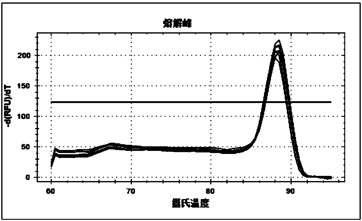 Method for detecting transcription level of Macaca mulatta gene ABCG2 through RT-qPCR