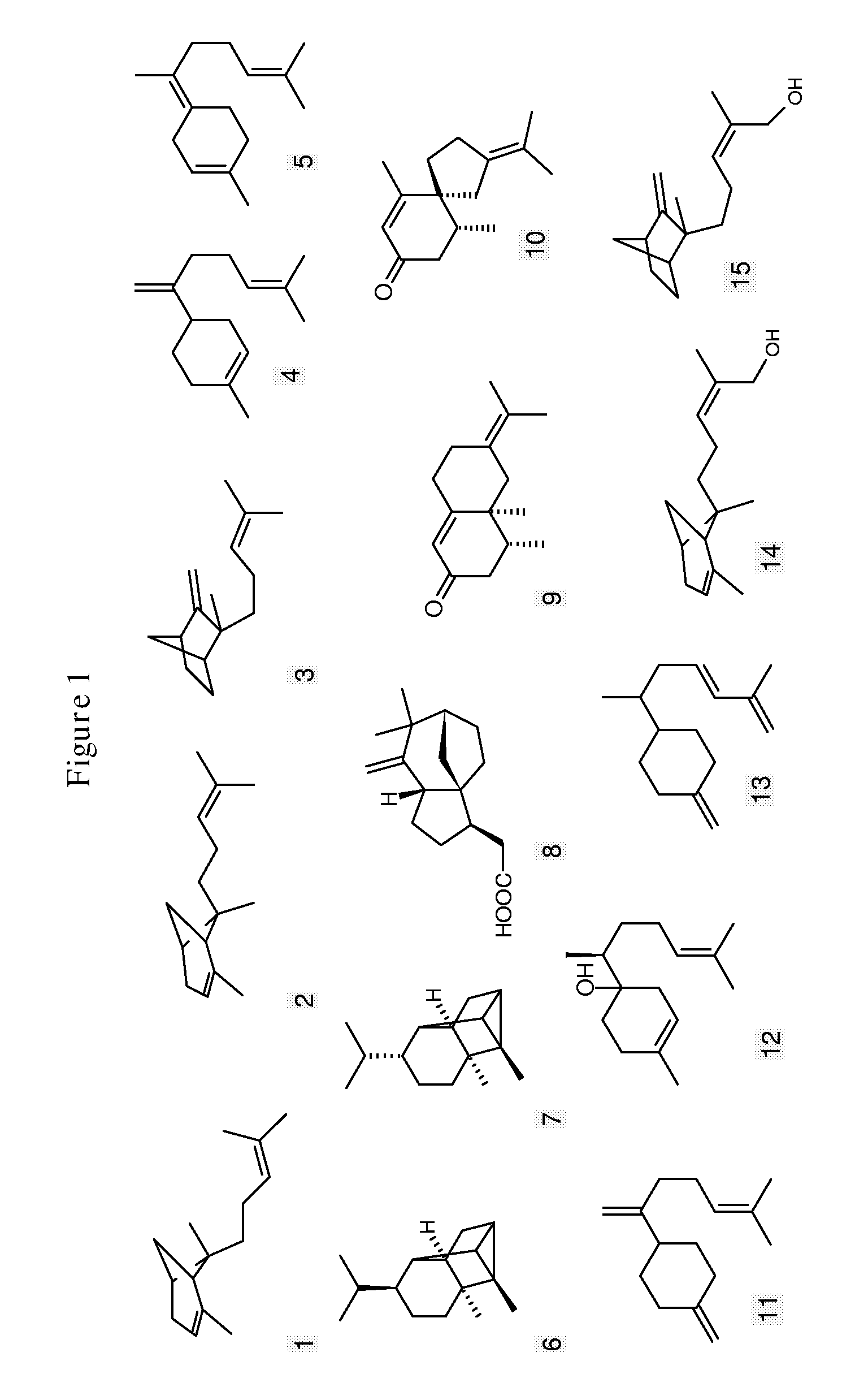 Novel Sesquiterpene Synthases and Methods of their Use