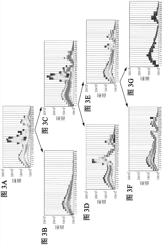 Fluorescence intensity correction method, fluorescence intensity calculation method, and fluorescence intensity calculation device and fluorescence intensity correction program