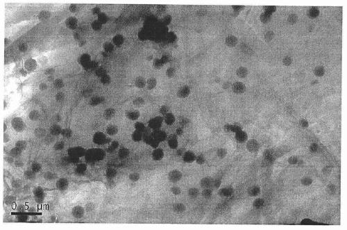 A reduced graphene oxide/iron tetroxide/cdsete@zns@sio  <sub>2</sub> Preparation method of nanocomposite