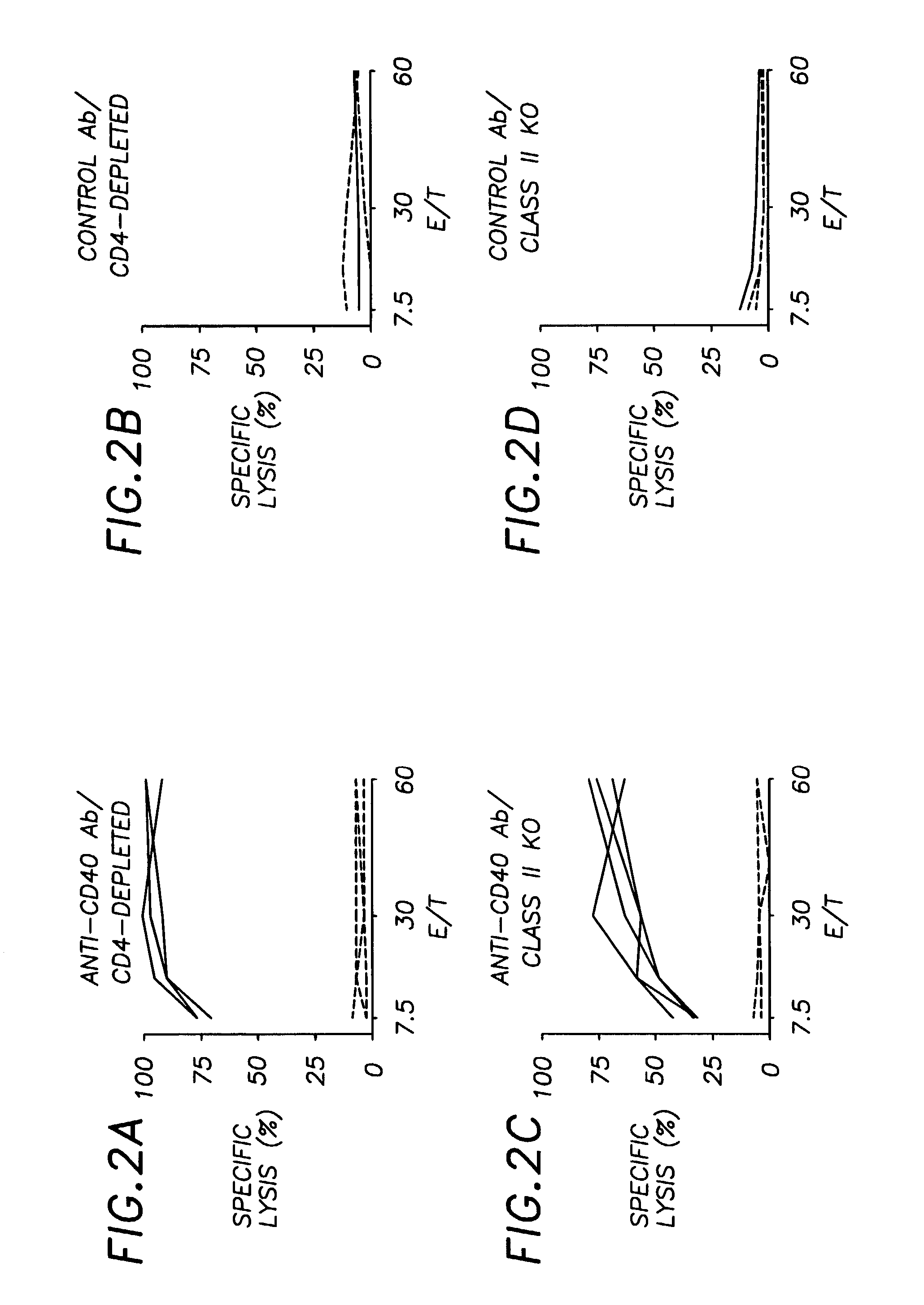 CD40 binding molecules and CTL peptides for treating tumors