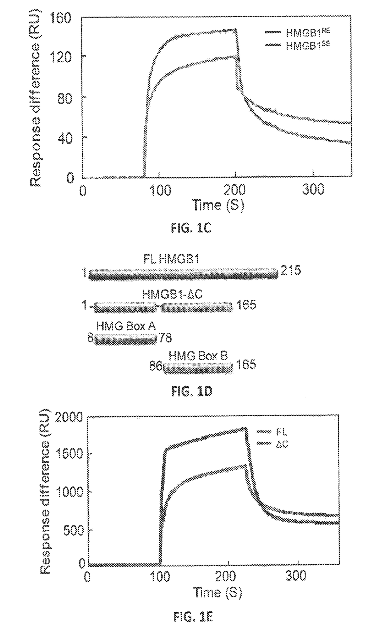 Structure and function of the salicyclic acid binding sites on human hmgb1 and methods of use thereof for the rational design of both salicyclic acid derivatives and other agents that alter animal and plant hmgbs activities
