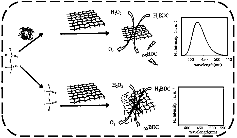 Fluorescent sensor for detecting inorganic pyophosphatase and its preparation method