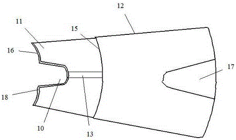 Anorectum checking and drug delivering device