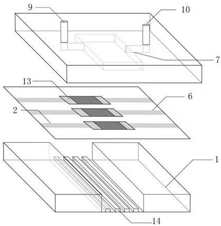 Magnetorheological elastic composite film surface stress biosensor