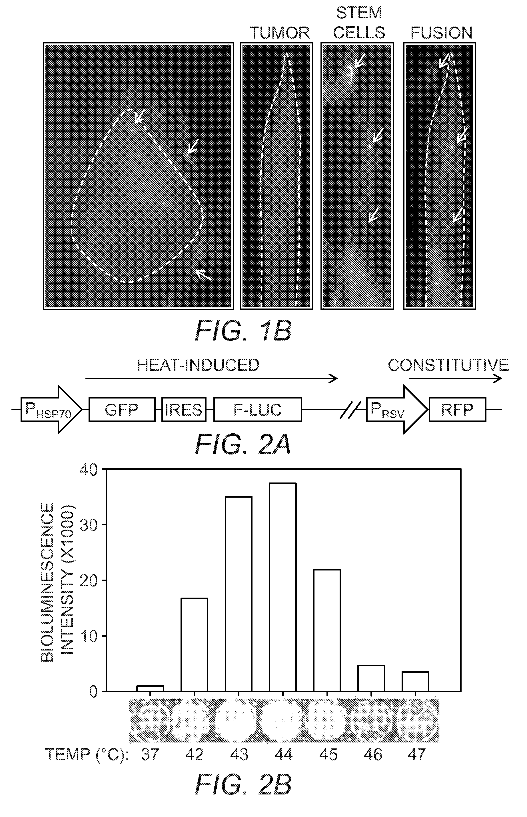 Methods for enhancing the delivery of active agents