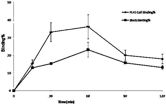 Preparation method of Cu-64 labeled Dimer-San A cyclic peptide derivative pancreatic cancer molecular probe