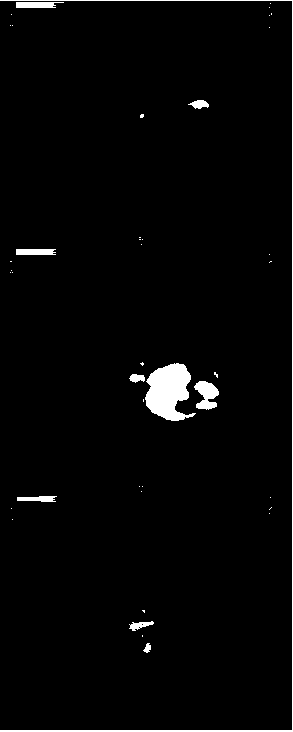 Preparation method of Cu-64 labeled Dimer-San A cyclic peptide derivative pancreatic cancer molecular probe