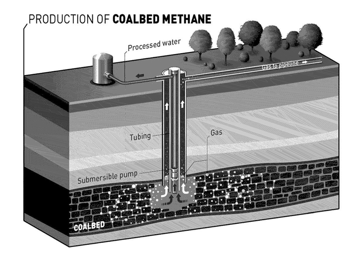 Modeling method for gas production of cbm reservoir rocks