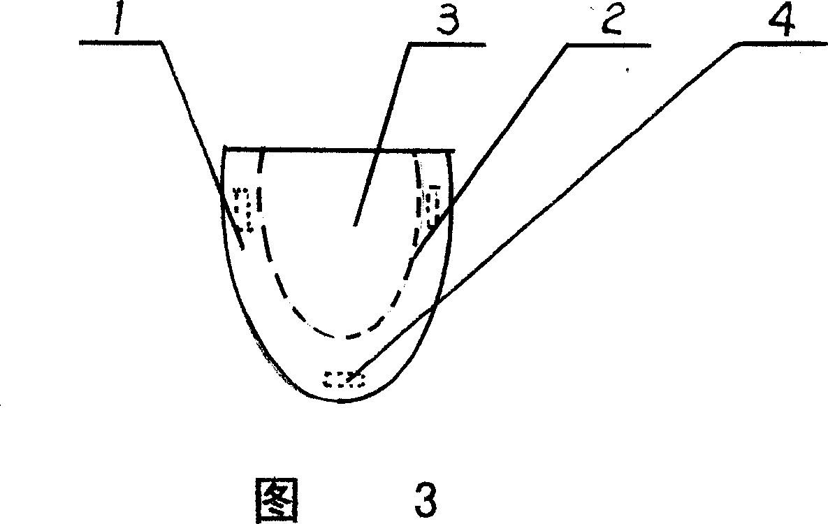 Specially shaped sanitary toilet cushion