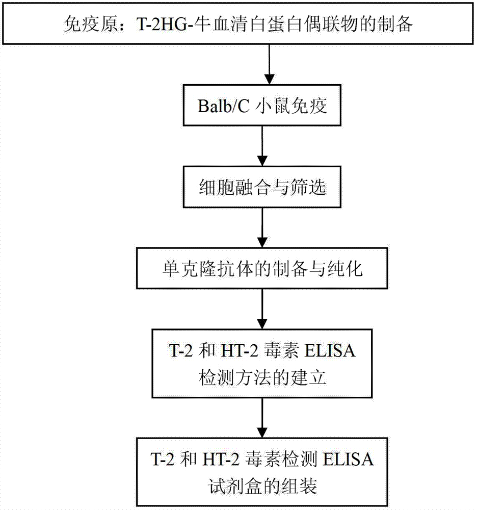 Monoclonal antibody, enzyme-linked immunosorbent assay method and kit for detecting T-2 and HT-2 toxin