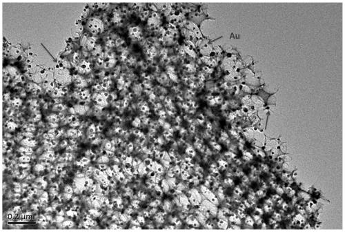 au/zno three-dimensional inverse opal heterostructure photocatalyst and its in situ preparation method and application