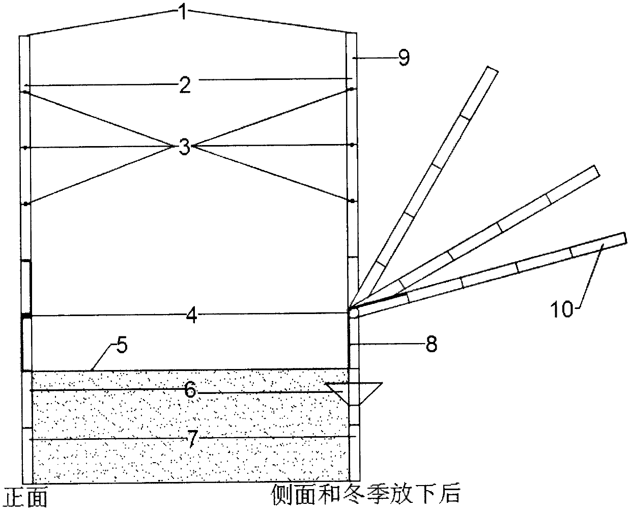 Mechanized on-trellis ecological method for cultivating grapes without soil burying