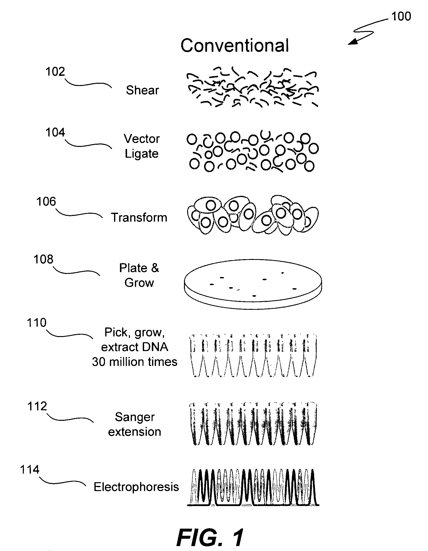 Microfabricated integrated DNA analysis system
