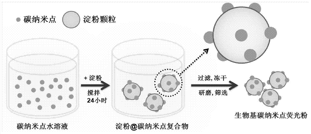 Bio-based carbon nano dot fluorescent powder, preparation method and applications thereof