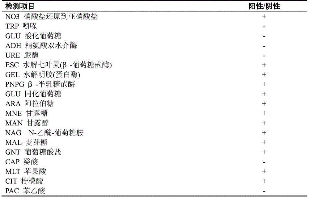 Bacillus subtilis and application thereof to livestock breeding