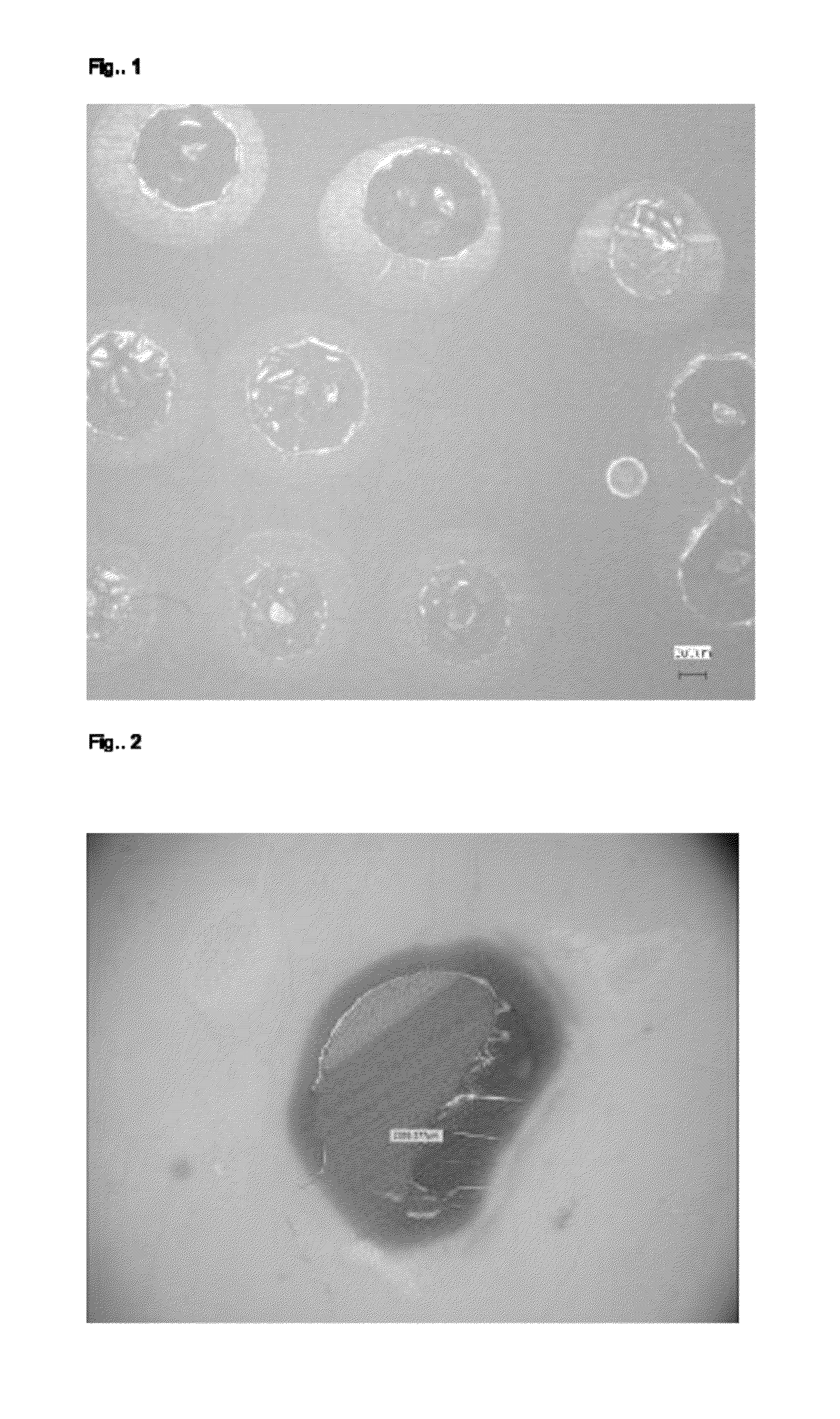 Method for producing composite semipermeable membrane