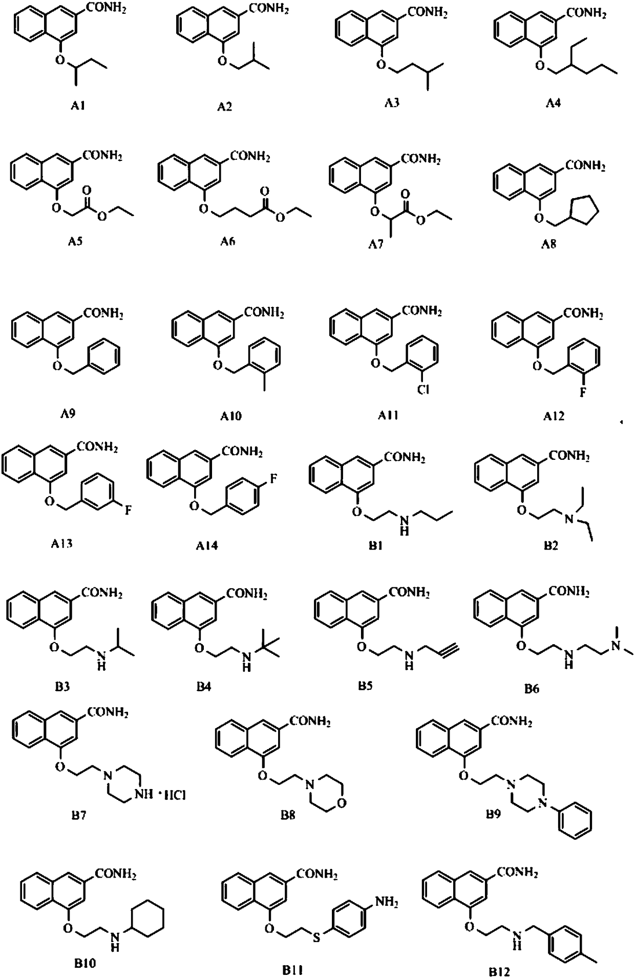 Disubstituted Bicyclic Derivatives and Their Application as Efflux Pump Inhibitors in Antibacterial