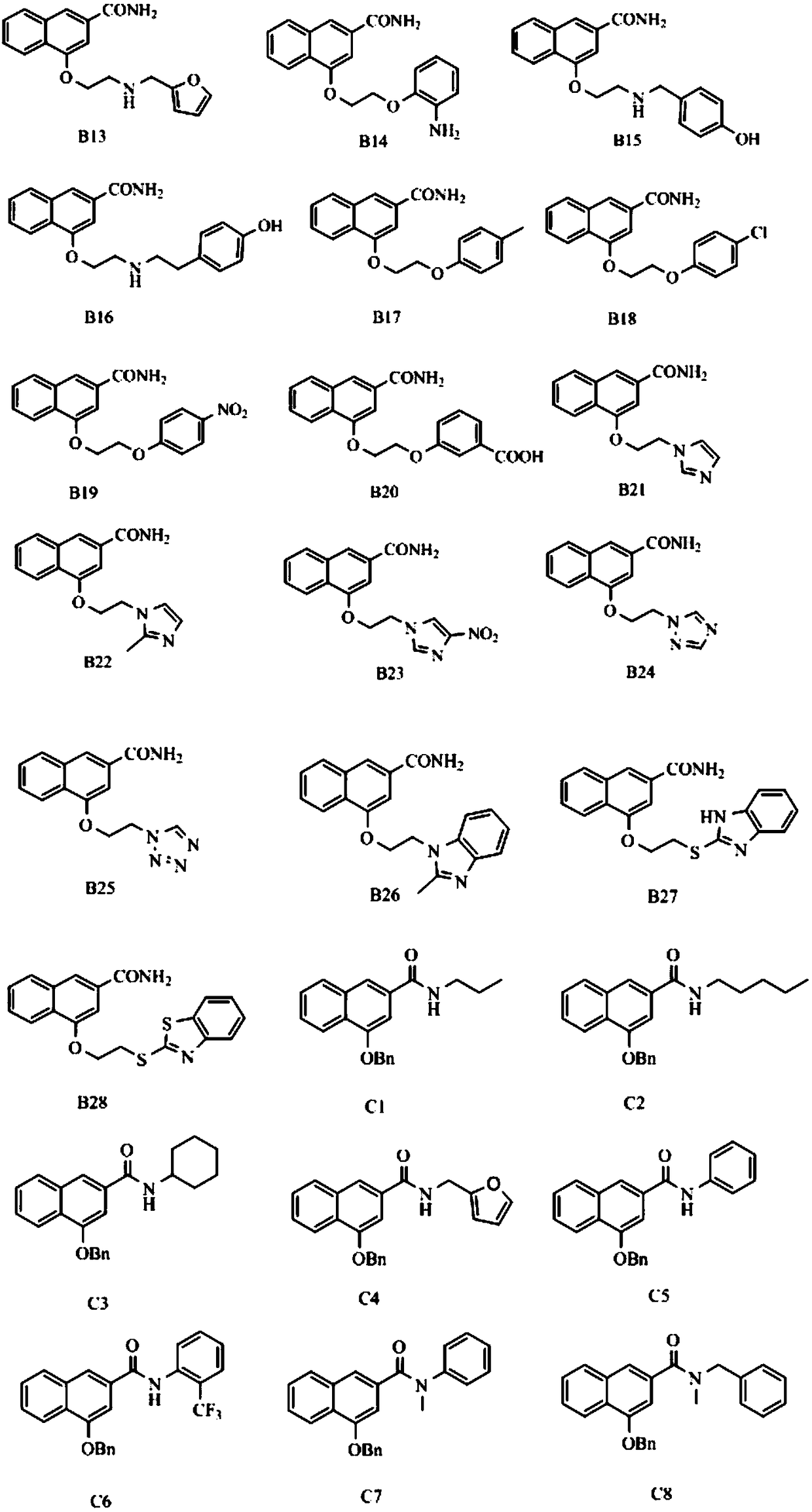 Disubstituted Bicyclic Derivatives and Their Application as Efflux Pump Inhibitors in Antibacterial