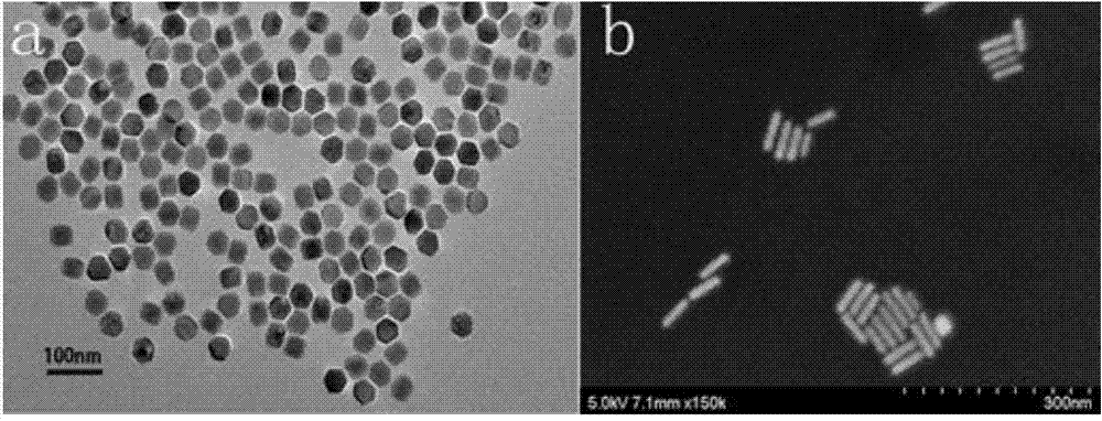 Nano particles compounded of up-conversion nano particles and gold nanorods and preparation method and application of nano particles