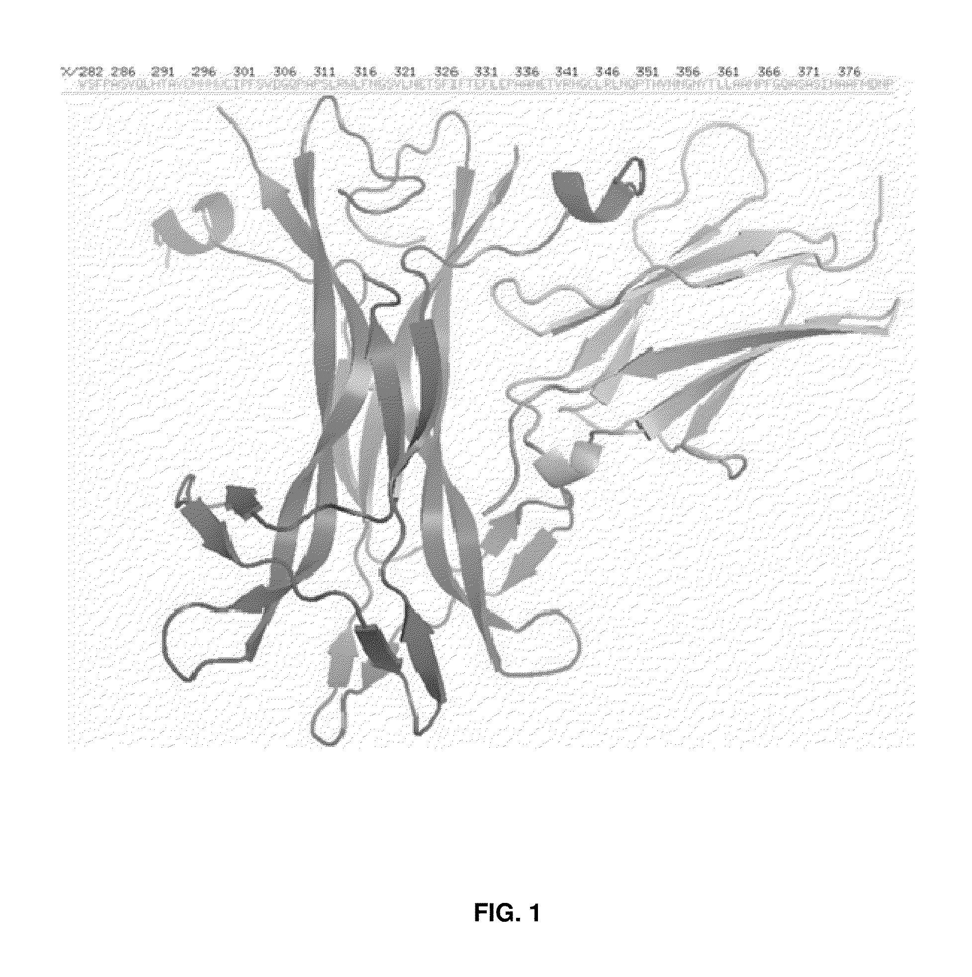 Anti-trka antibodies, derivatives and uses thereof