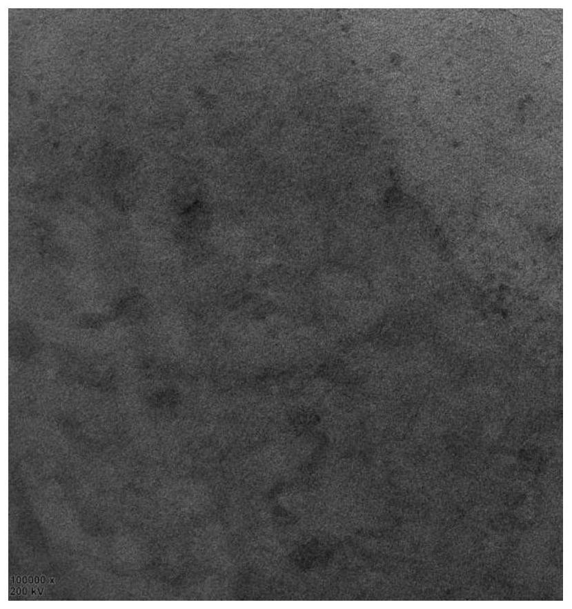 Novel fluorescent carbon quantum dot material and synthesis method and application thereof