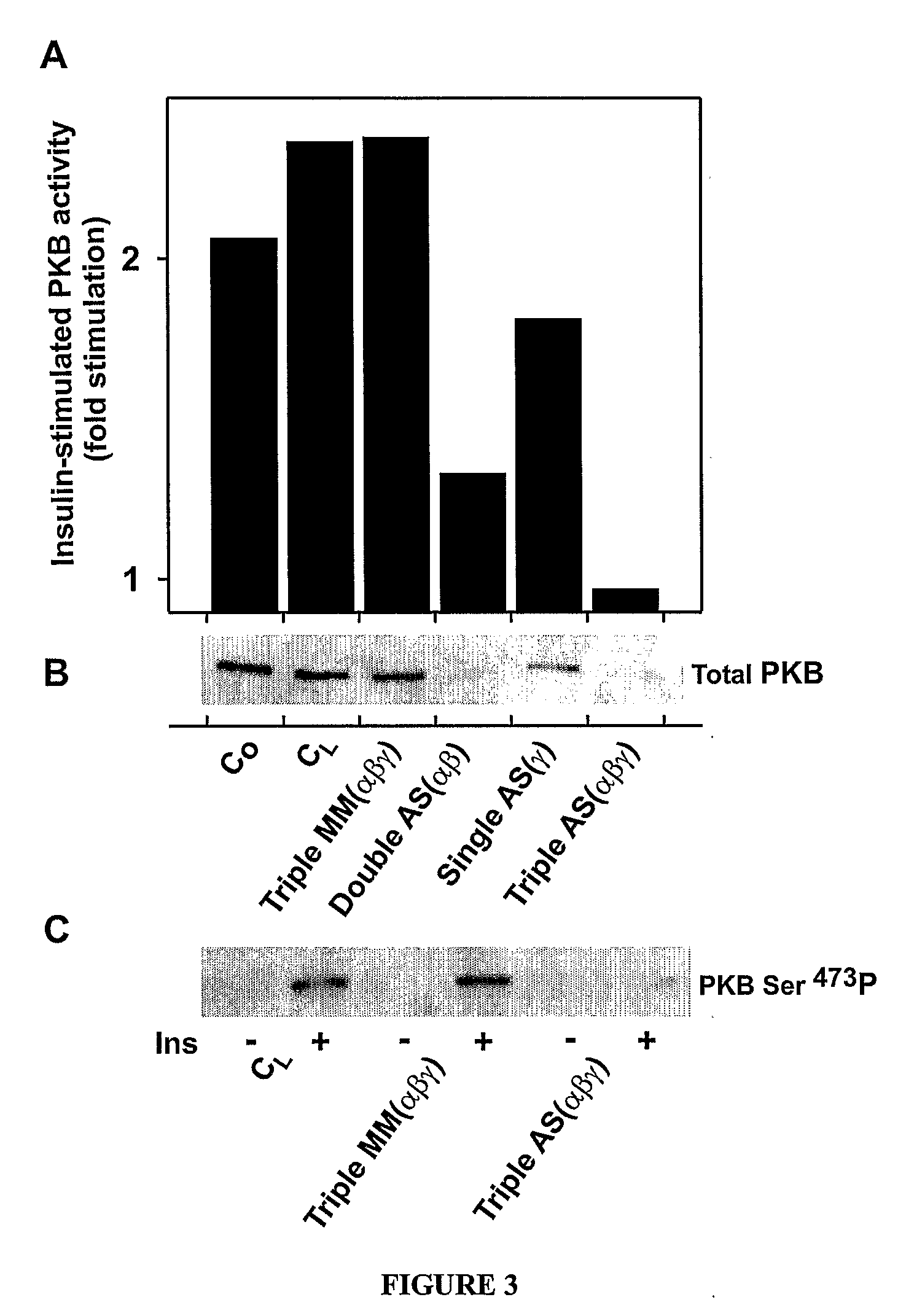 Antisense oligonucleotides against protein kinase isoforms alpha, beta and gamma