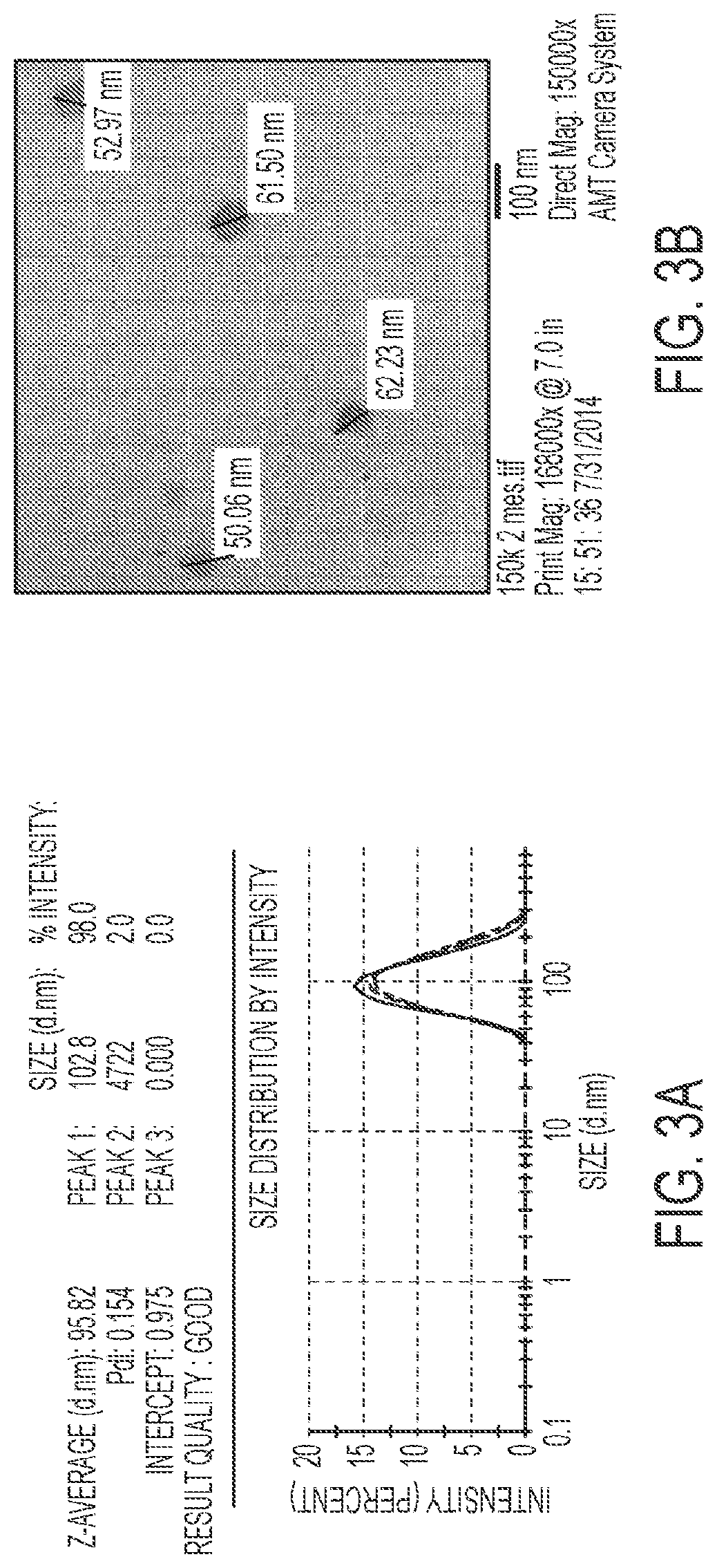 Dye-stabilized nanoparticles and methods of their manufacture and therapeutic use