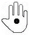 Human Hand Positioning Method Based on Video Stream