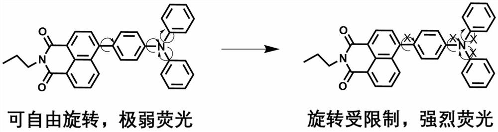 A rotor-type fluorescent molecule for detecting starch gelatinization degree and its preparation and application