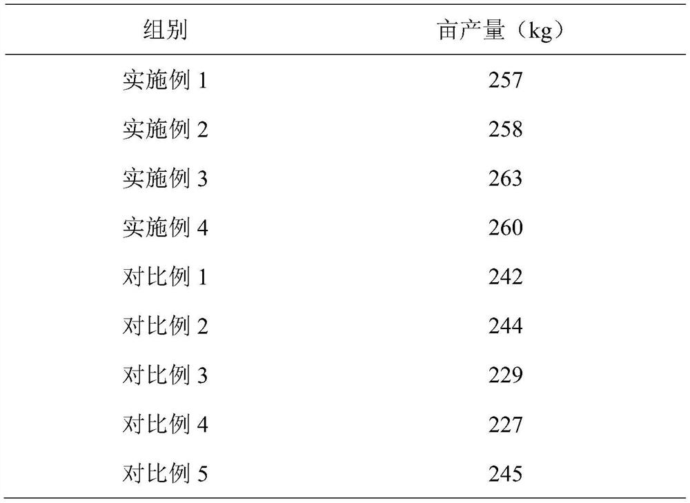 Special yield-increasing organic fertilizer for organic tea, and application method thereof