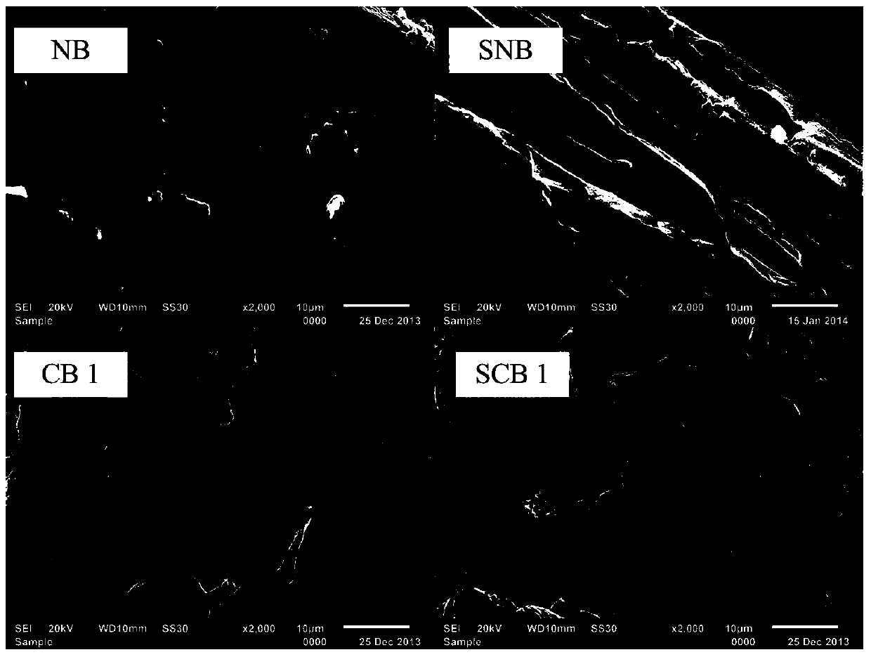 Preparation method of porous adsorbent for adsorbing heavy metals in marine protein enzymatic hydrolyzate