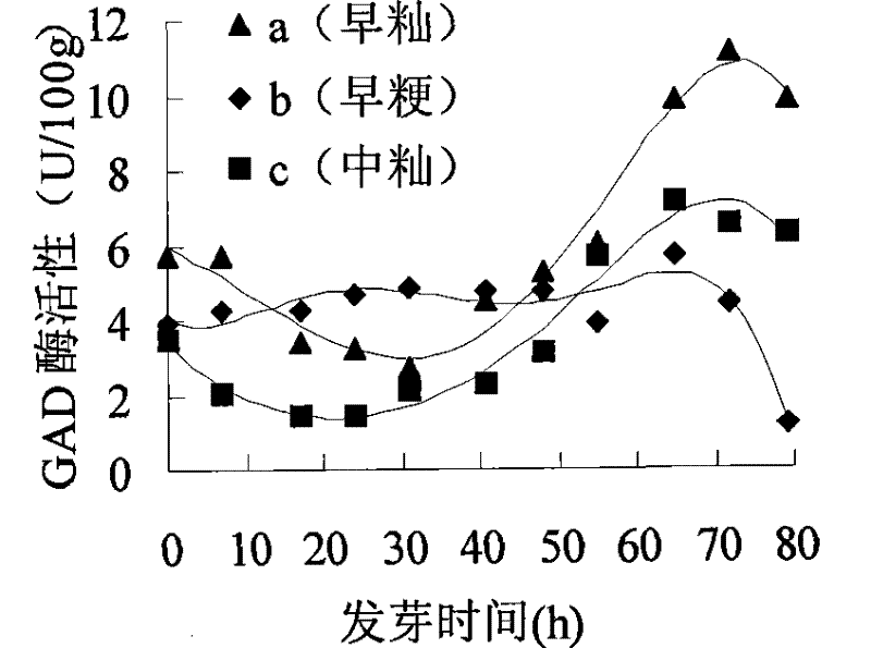 A kind of rice product rich in γ-aminobutyric acid and production method thereof