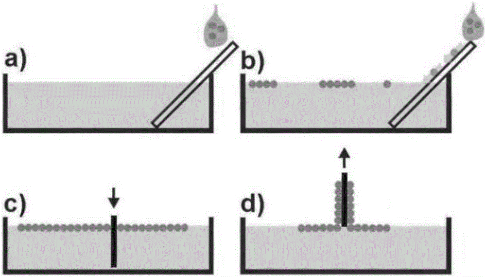 Preparation method of single-layer ordered silicon dioxide nanosphere array
