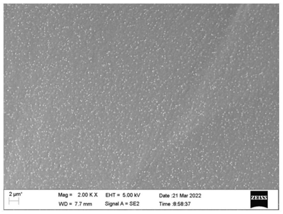 Cuprous oxide nanoparticle functionalized cellulose hydrogel as well as preparation method and application thereof