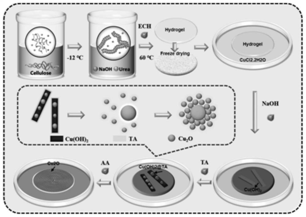 Cuprous oxide nanoparticle functionalized cellulose hydrogel as well as preparation method and application thereof