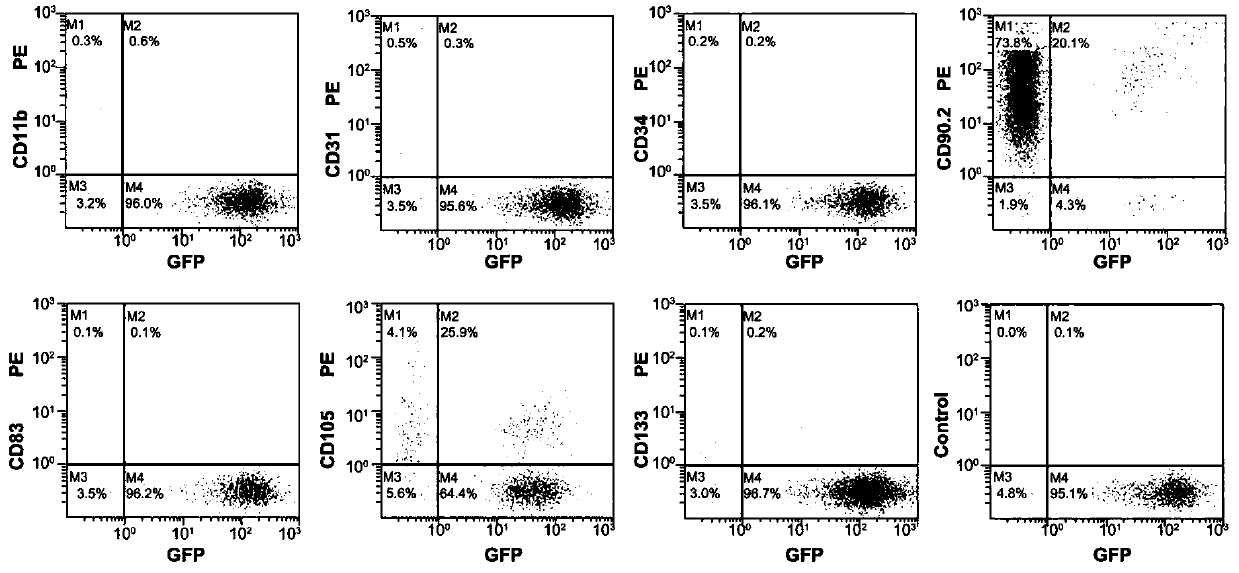 Method for preparing adipose-derived stem cell exosomes, adipose-derived stem cell exosomes and application thereof