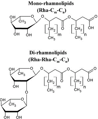 Degradable hydrate generating accelerant and preparation method thereof