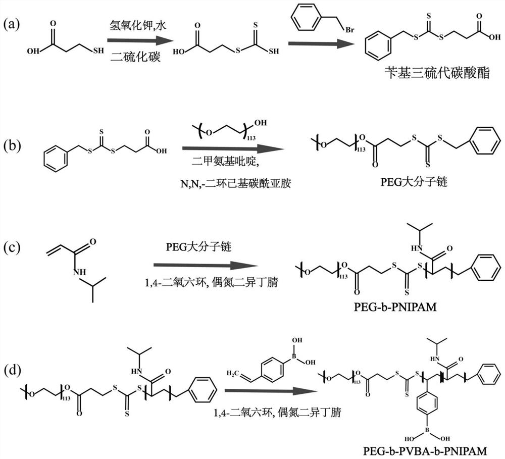 A kind of amphiphilic thermosensitive block polymer based on phenylboronic acid and its preparation method and application