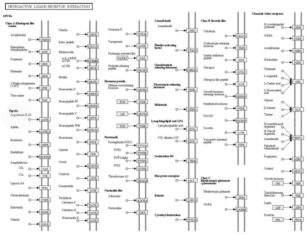 Application of Galantamine in Prevention and Treatment of Fish Enteritis Caused by Soybean Meal Feed