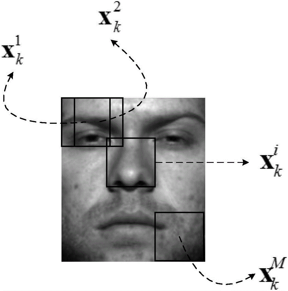 Single sample face recognition method based on semi-supervised block joint regression