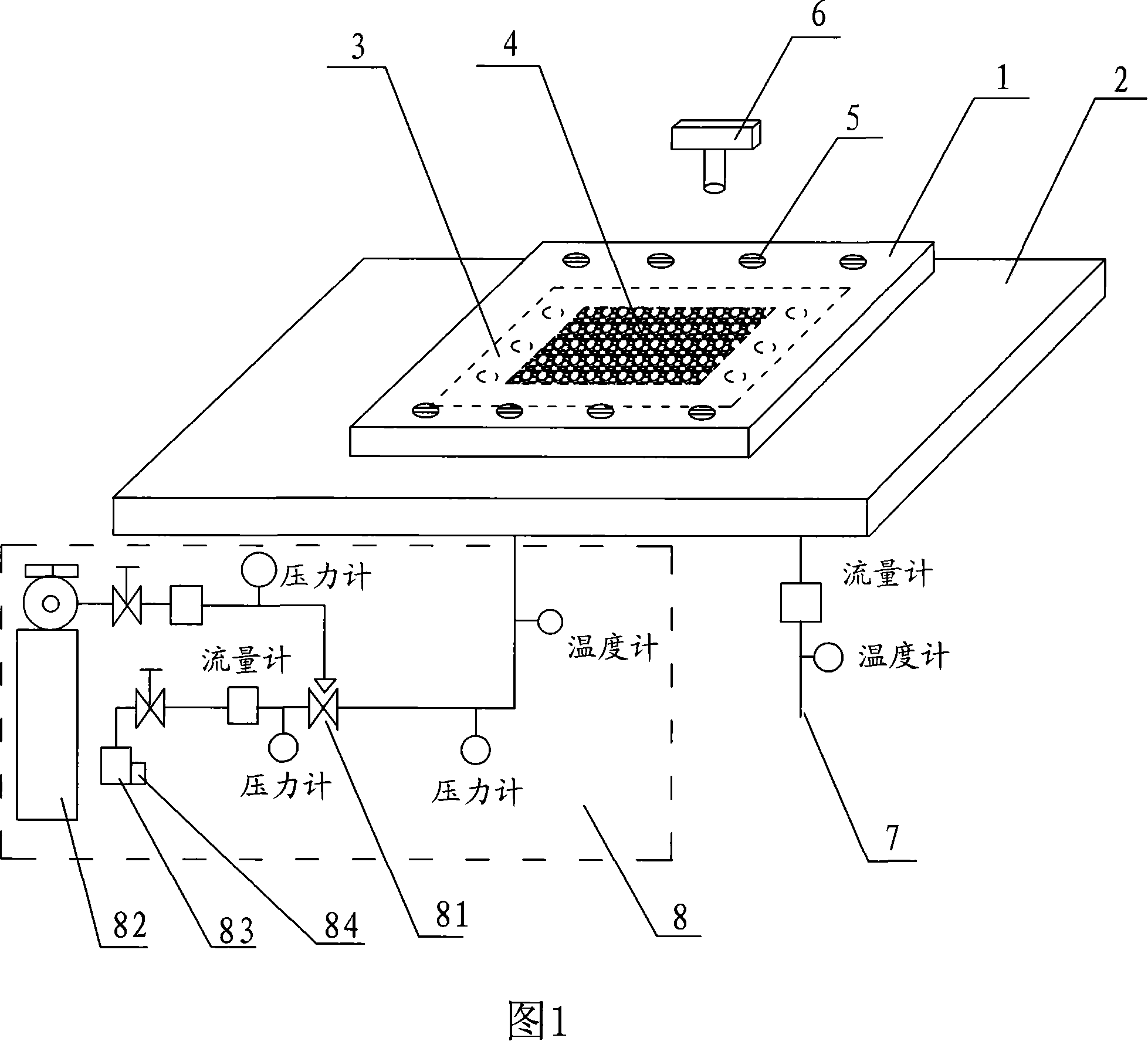 Liquid visualized apparatus and method for dual-polar plate flow field