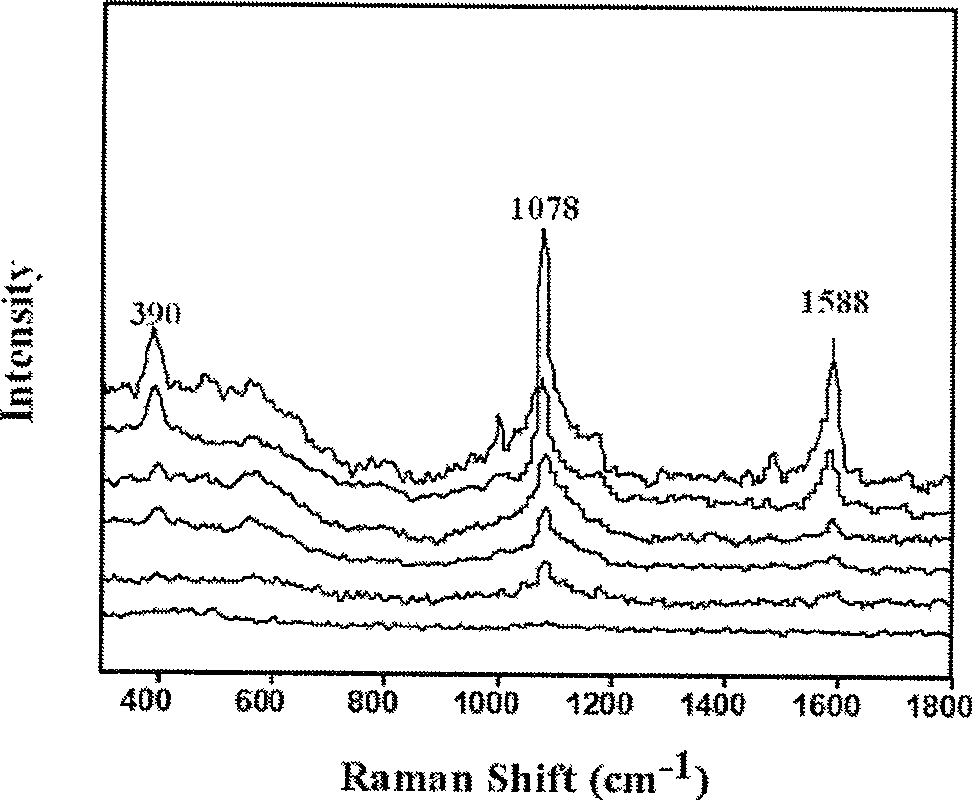 SERS biological probe and method for making same