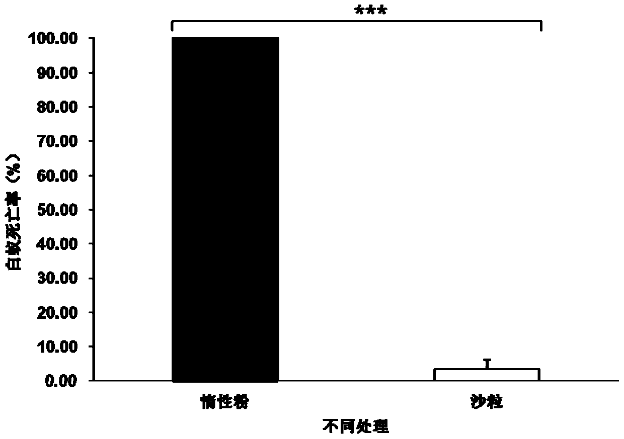 An inert powder capable of controlling termites