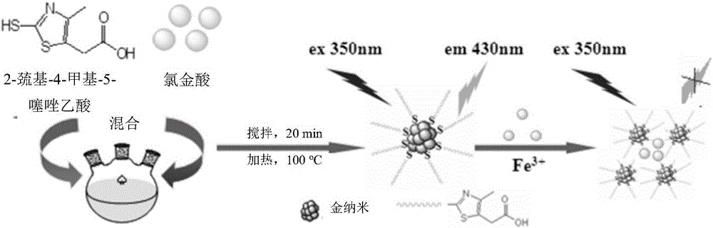 Gold-nanoparticle fluorescence probe and preparation method and application thereof