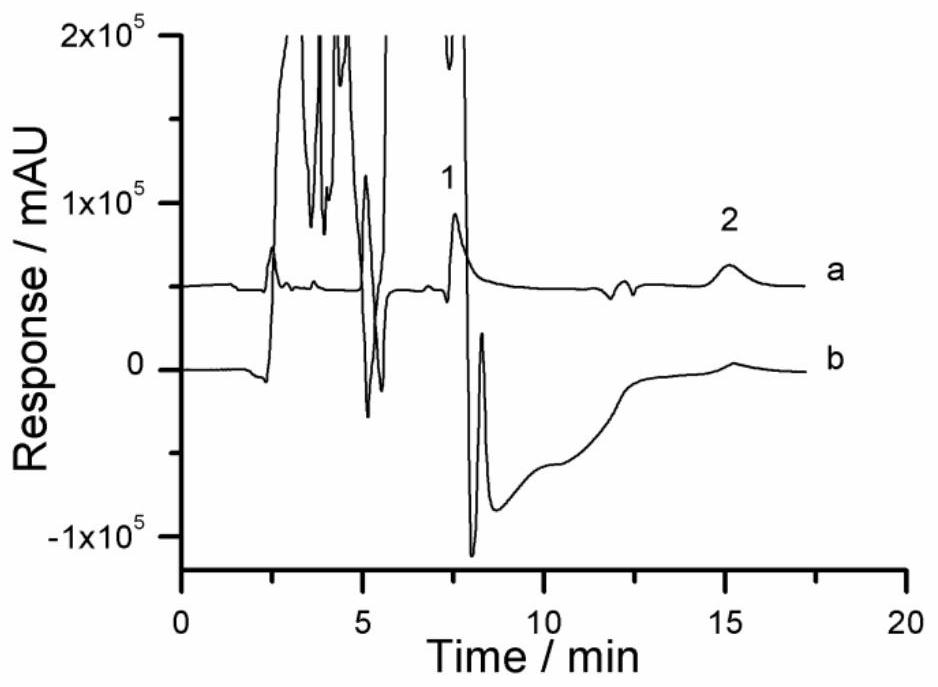 Hydroxyapatite functionalized monolithic column prepared by in situ mineralization method