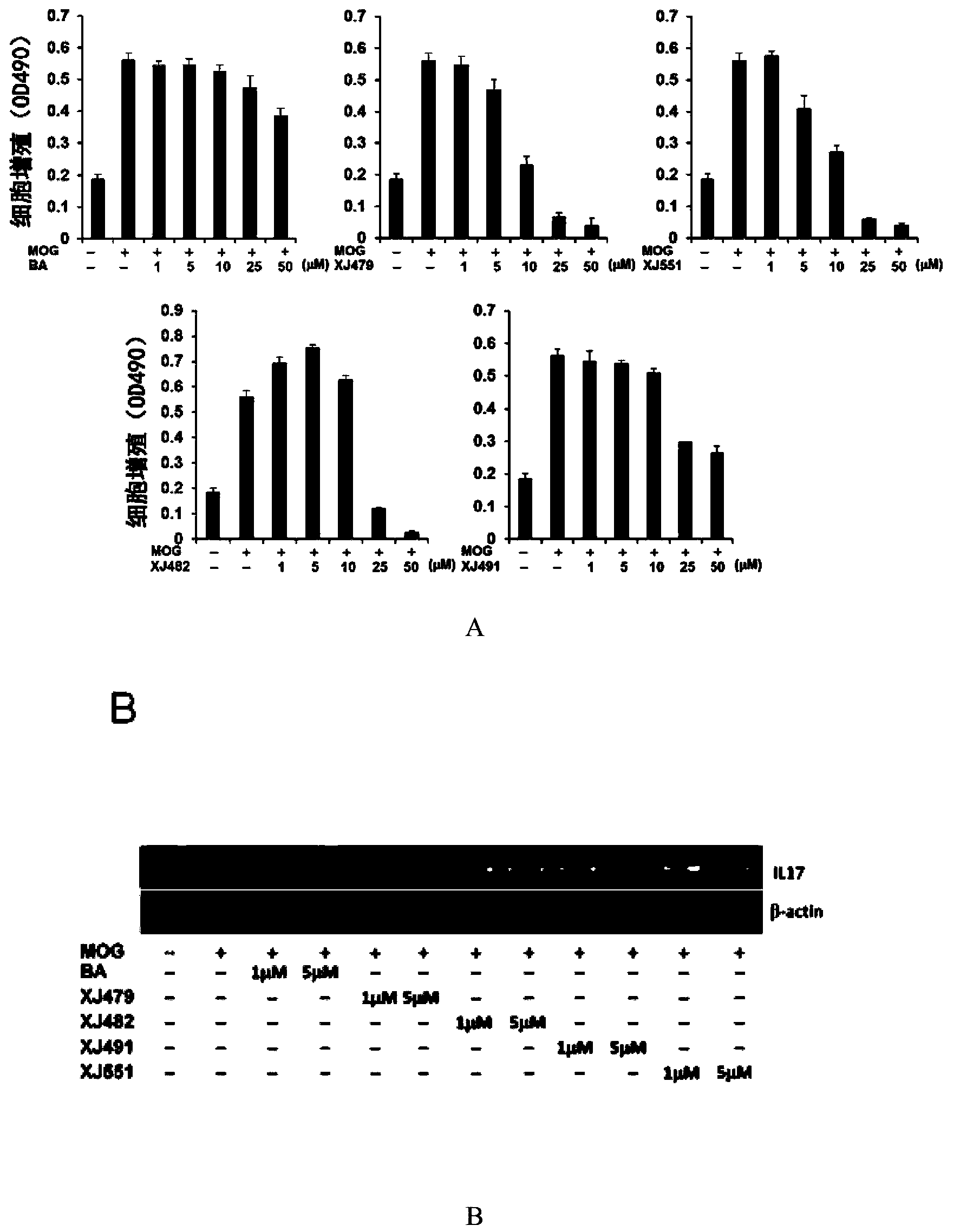 Application of betulinic acid derivatives in preparation of drugs inhibiting T cell differentiation