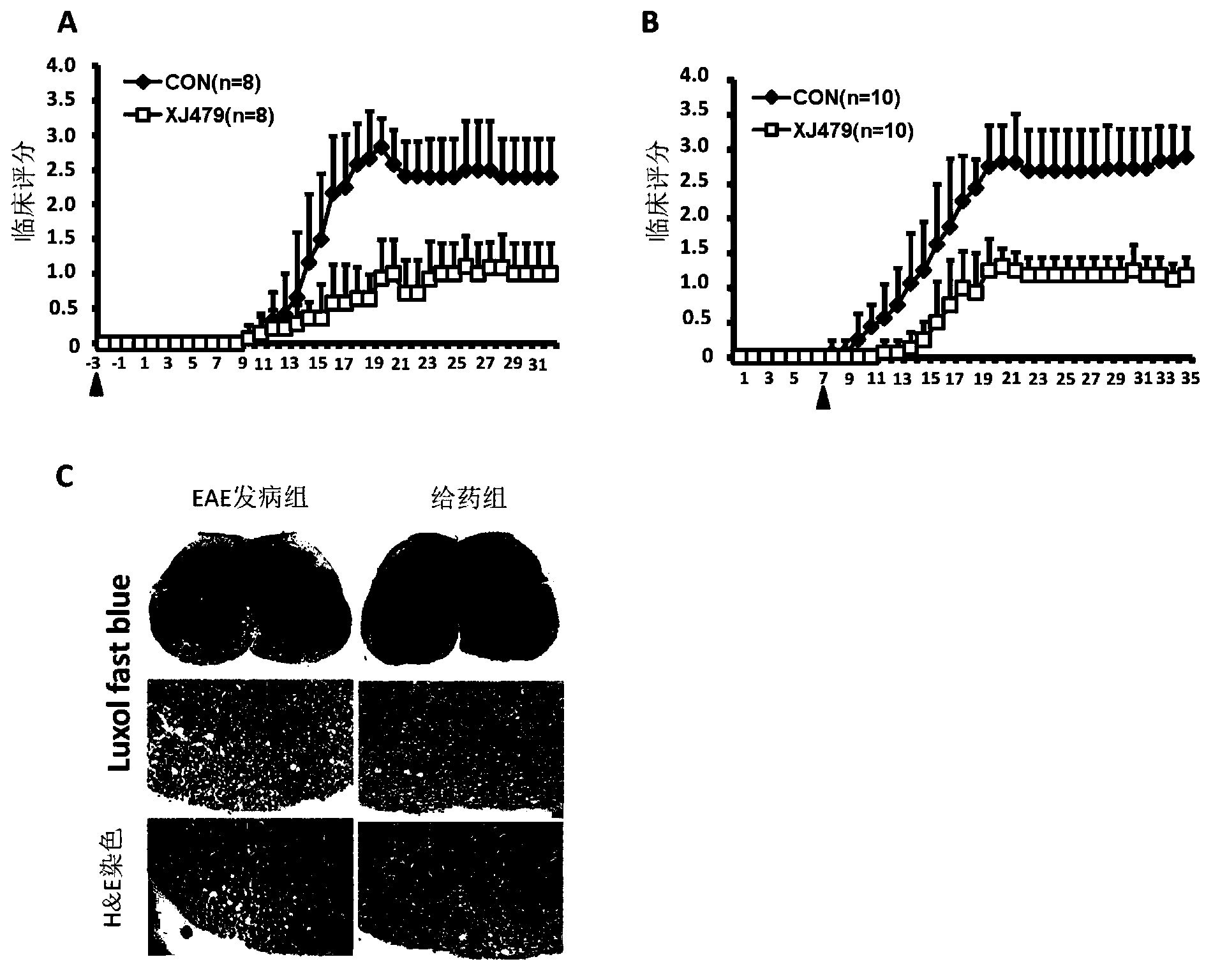 Application of betulinic acid derivatives in preparation of drugs inhibiting T cell differentiation