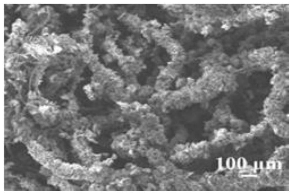 Bionic structure green bristlegrass-shaped metal oxide nano material and preparation method thereof
