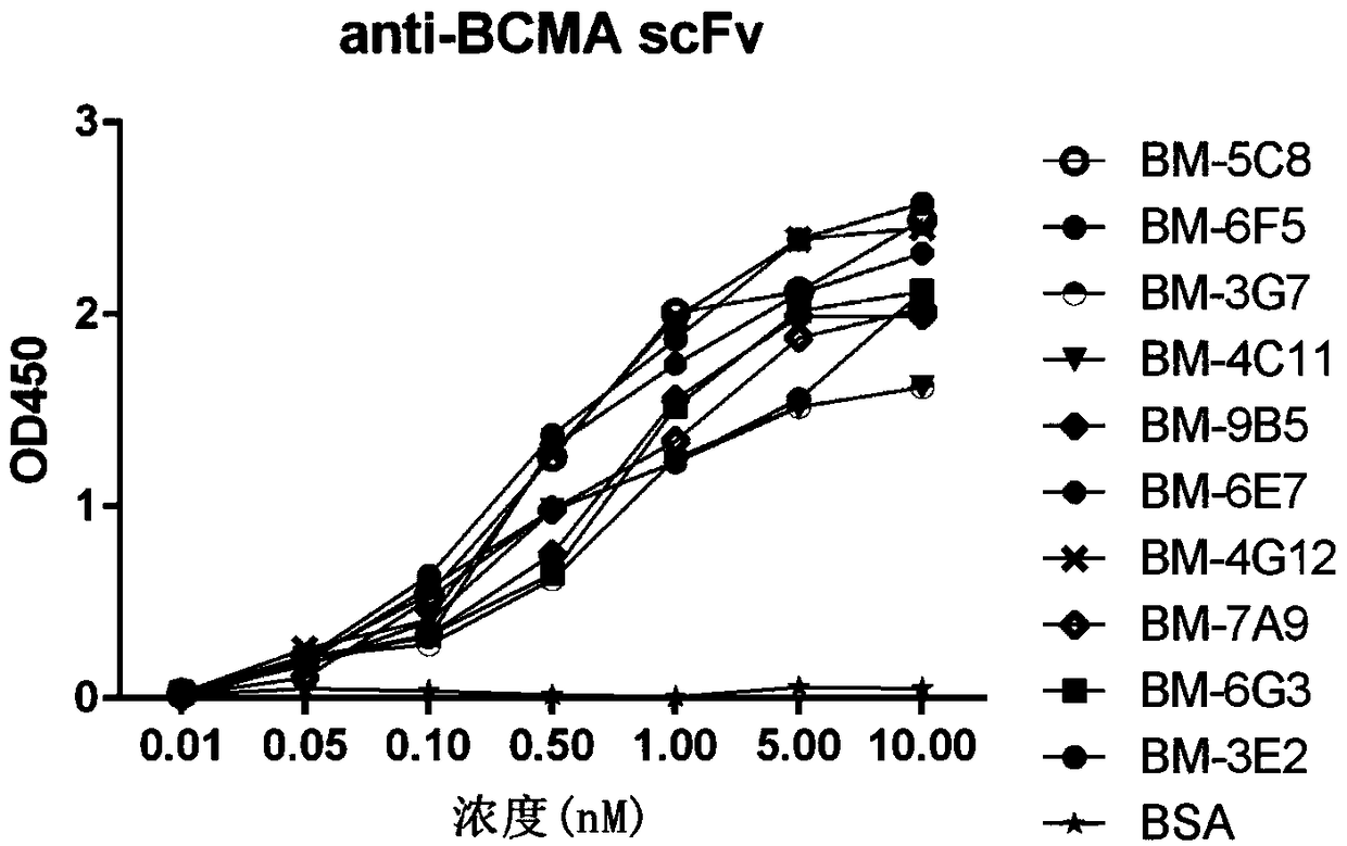 Duplex-specific chimeric antigen receptor molecule and application thereof to tumor therapy